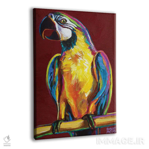 تابلو دکوراتیو طوطی روی قرمز اثر رابرت فلپس - نمای پرسپکتیو محصول
