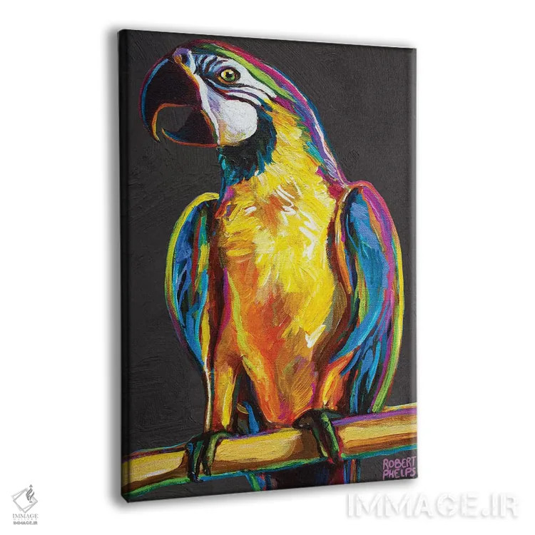 تابلو دکوراتیو طوطی روی خاکستری اثر رابرت فلپس - نمای پرسپکتیو محصول