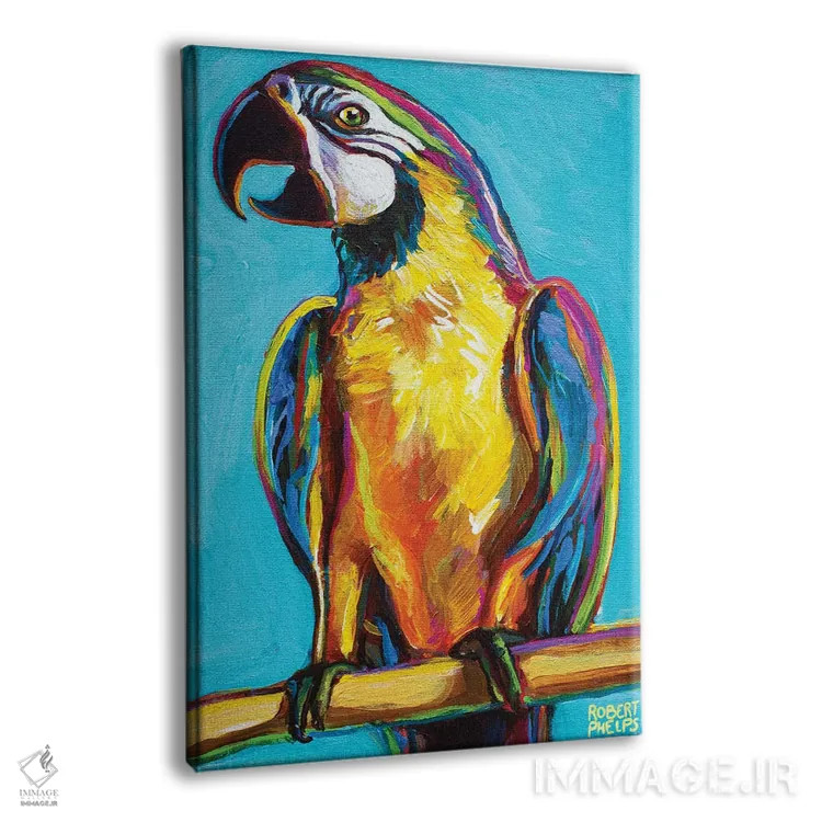 تابلو دکوراتیو طوطی روی پس زمینه آبی اثر رابرت فلپس - نمای پرسپکتیو محصول