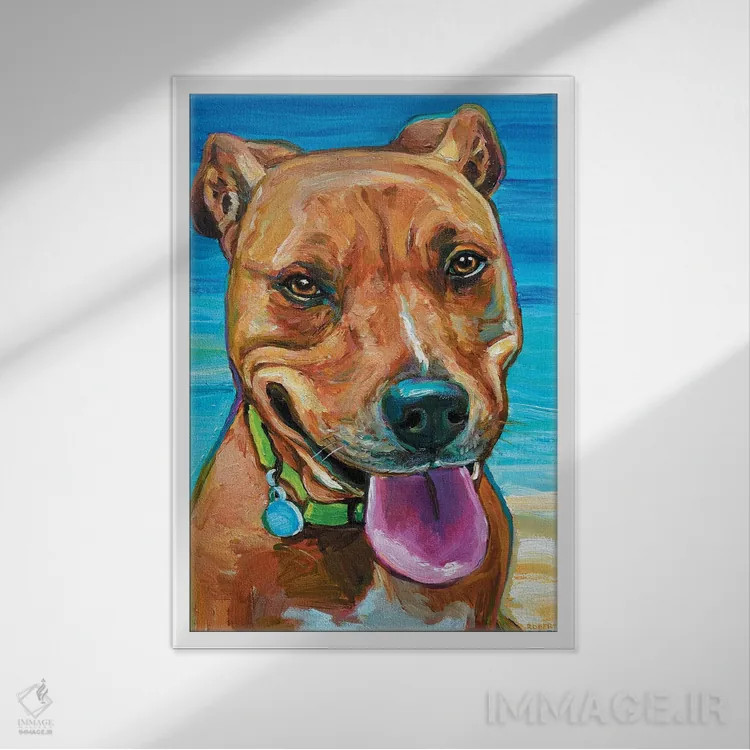 تابلو دکوراتیو سگ ساحلی اثر رابرت فلپس - نمای قابدار سفید