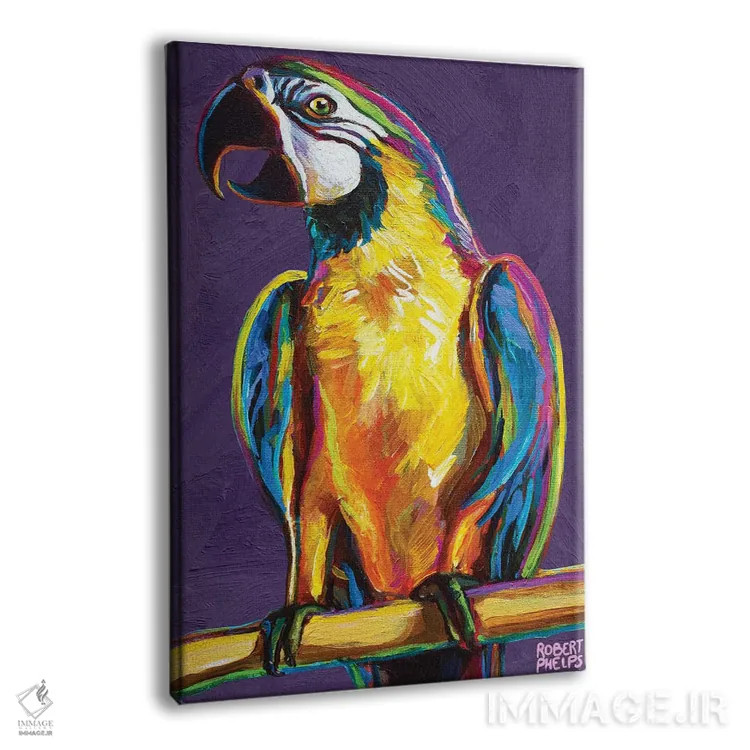 تابلو دکوراتیو طوطی روی بنفش اثر رابرت فلپس - نمای پرسپکتیو محصول