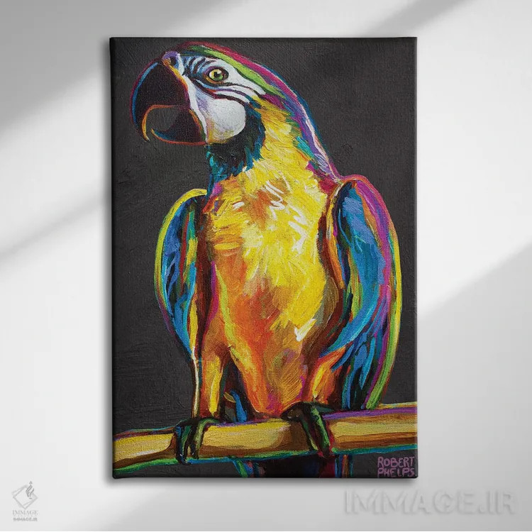 تابلو دکوراتیو طوطی روی خاکستری اثر رابرت فلپس - نمای روبهرو روی دیوار