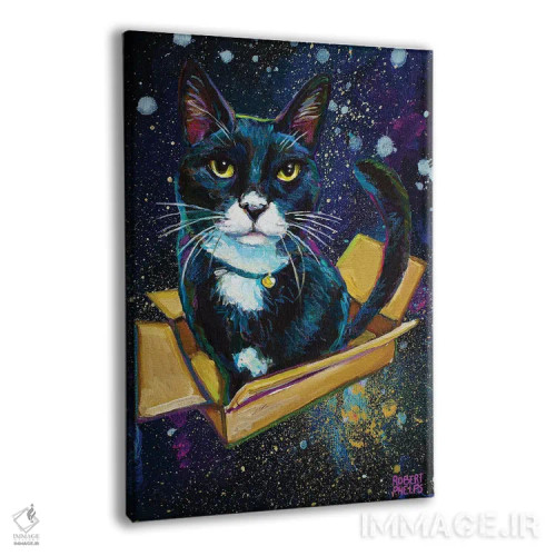 تابلو دکوراتیو بچه گربه توکسیدو کهکشانی اثر رابرت فلپس - نمای پرسپکتیو محصول