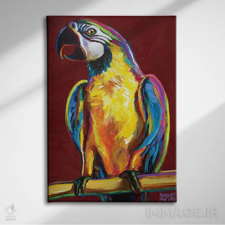 تابلو دکوراتیو طوطی روی قرمز اثر رابرت فلپس - نمای روبهرو روی دیوار