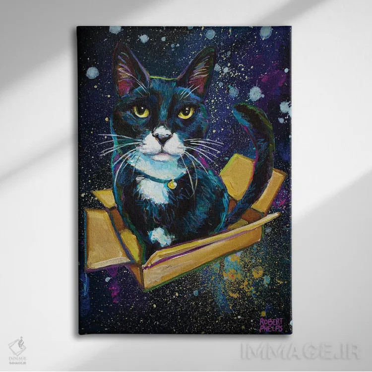 تابلو دکوراتیو بچه گربه توکسیدو کهکشانی اثر رابرت فلپس - نمای روبهرو روی دیوار