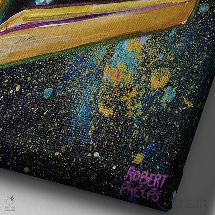 تابلو دکوراتیو بچه گربه توکسیدو کهکشانی اثر رابرت فلپس - نمای نزدیک بافت بوم