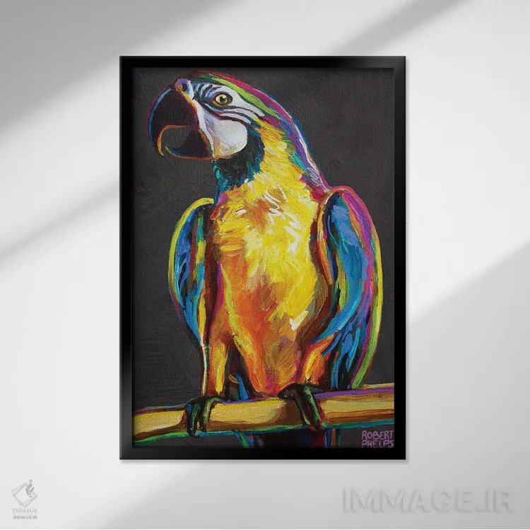 تابلو دکوراتیو طوطی روی خاکستری اثر رابرت فلپس - نمای قابدار مشکی