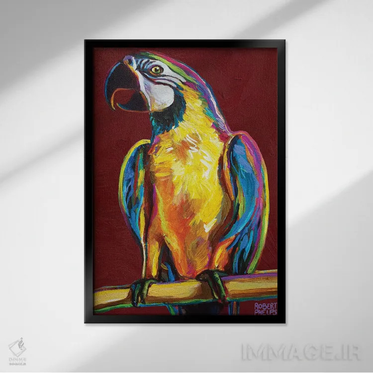 تابلو دکوراتیو طوطی روی قرمز اثر رابرت فلپس - نمای قابدار مشکی