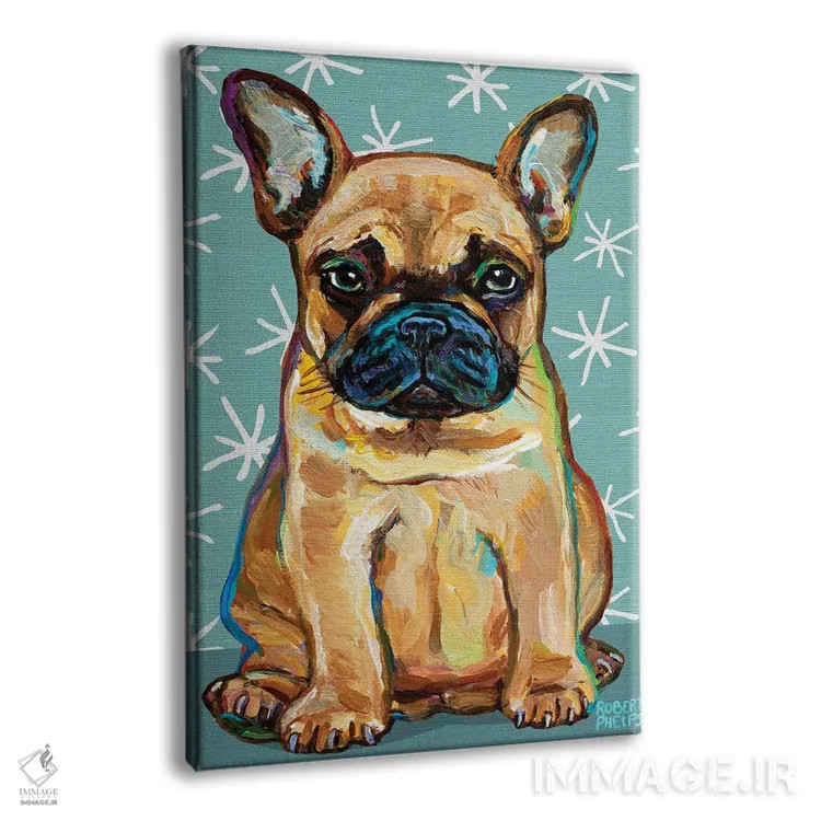 تابلو دکوراتیو توله فرنچی و ستاره ها اثر رابرت فلپس - نمای پرسپکتیو محصول
