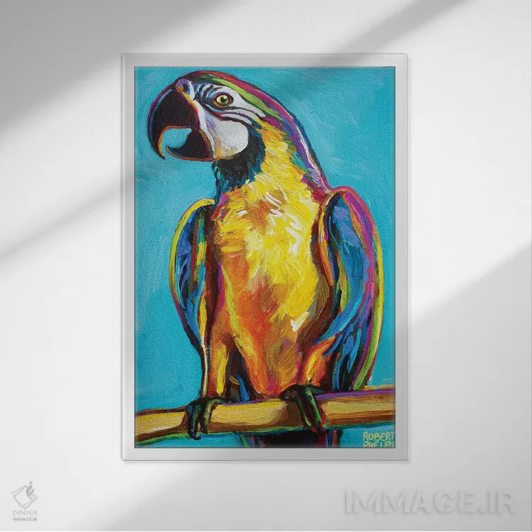 تابلو دکوراتیو طوطی روی پس زمینه آبی اثر رابرت فلپس - نمای قابدار سفید