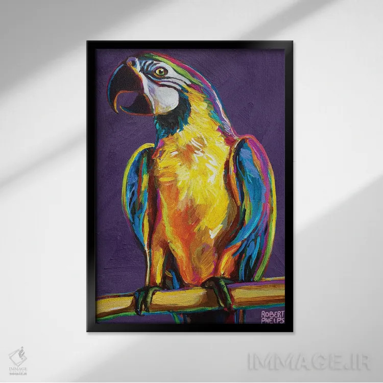 تابلو دکوراتیو طوطی روی بنفش اثر رابرت فلپس - نمای قابدار مشکی