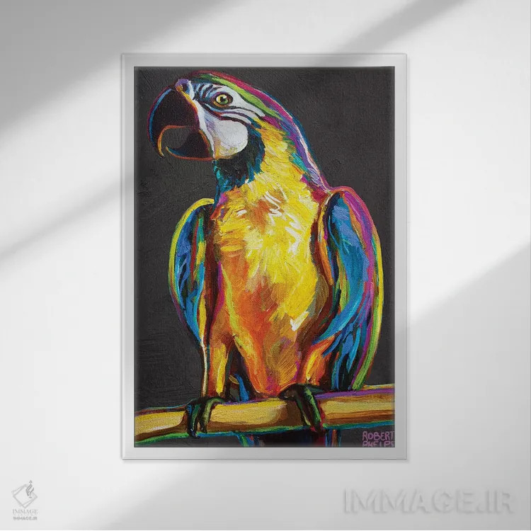 تابلو دکوراتیو طوطی روی خاکستری اثر رابرت فلپس - نمای قابدار سفید