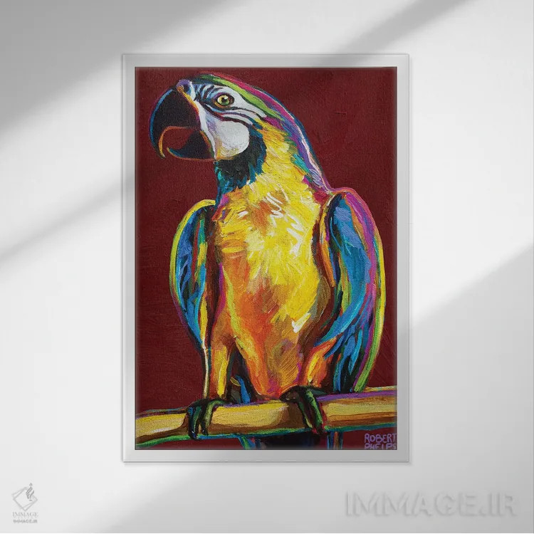 تابلو دکوراتیو طوطی روی قرمز اثر رابرت فلپس - نمای قابدار سفید