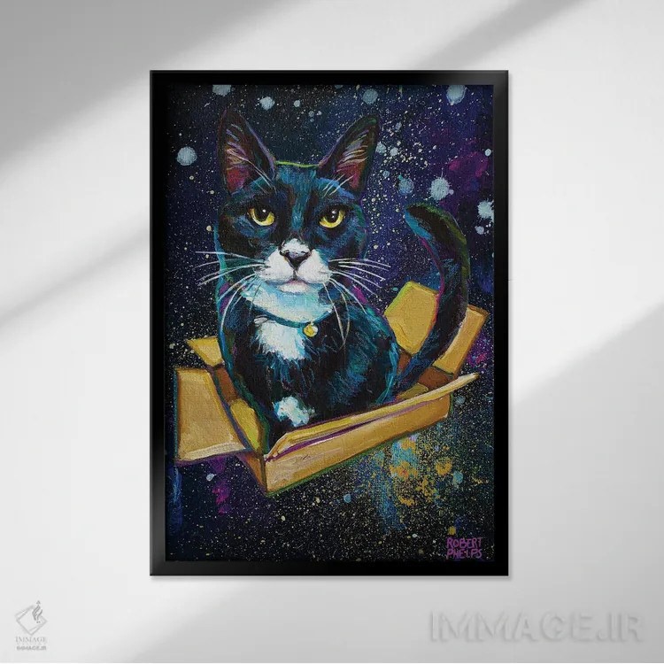 تابلو دکوراتیو بچه گربه توکسیدو کهکشانی اثر رابرت فلپس - نمای قابدار مشکی