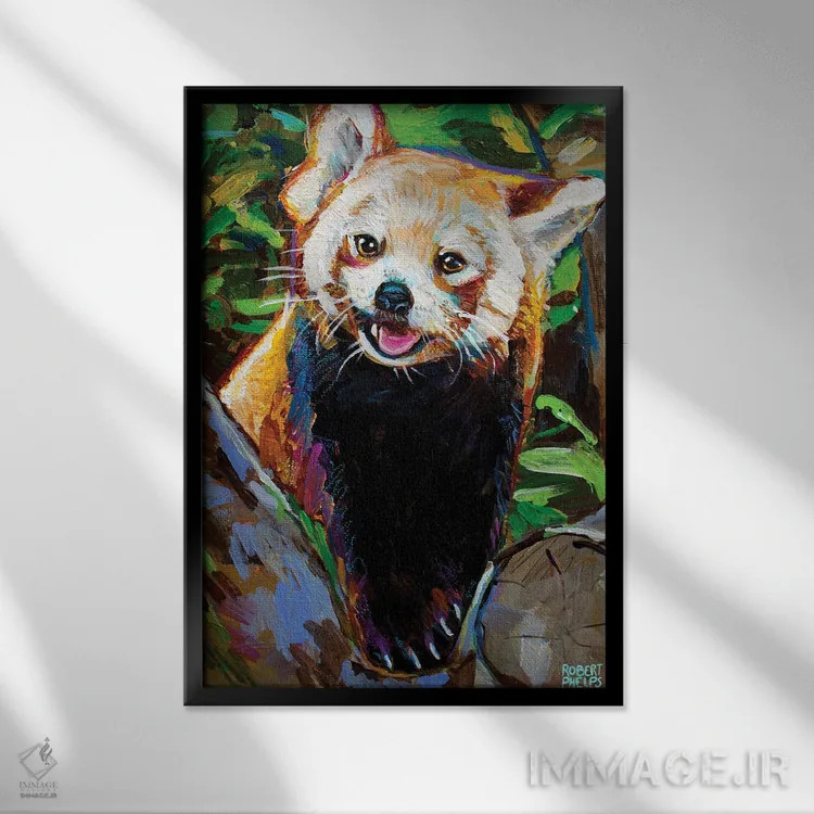 تابلو دکوراتیو پاندای قرمز اثر رابرت فلپس - نمای قابدار مشکی