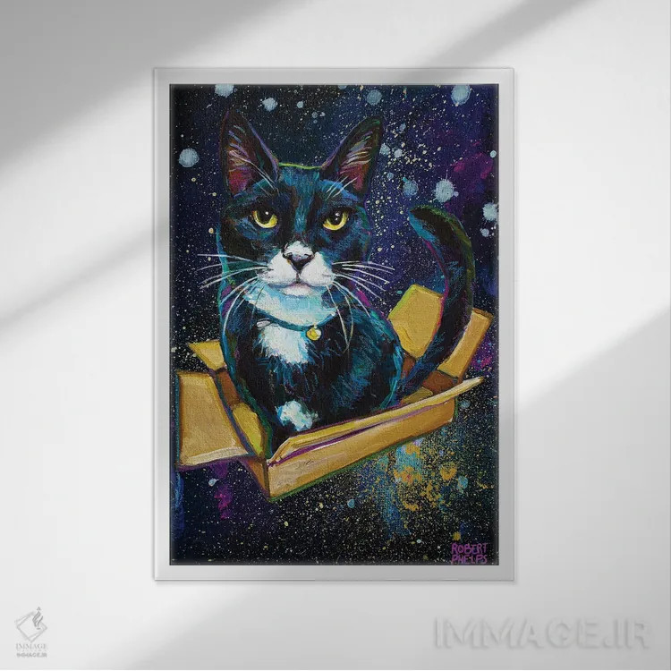 تابلو دکوراتیو بچه گربه توکسیدو کهکشانی اثر رابرت فلپس - نمای قابدار سفید