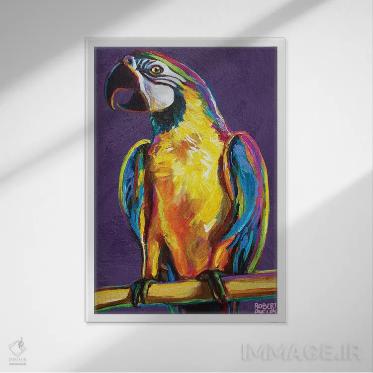 تابلو دکوراتیو طوطی روی بنفش اثر رابرت فلپس - نمای قابدار سفید