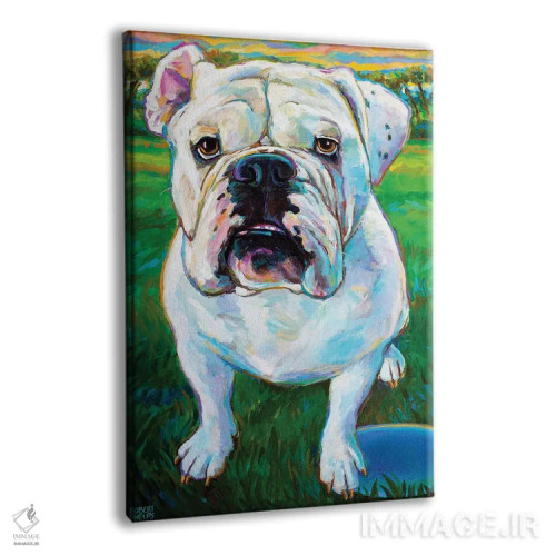 تابلو دکوراتیو بابا ۱ اثر رابرت فلپس - نمای پرسپکتیو محصول