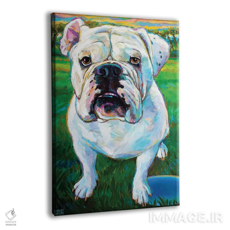 تابلو دکوراتیو بابا ۱ اثر رابرت فلپس - نمای پرسپکتیو محصول