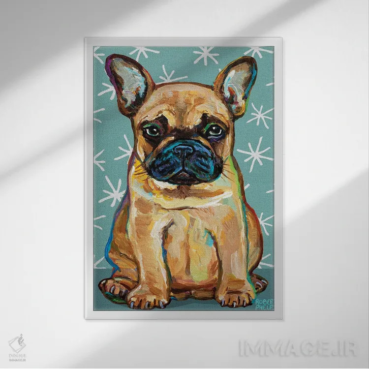 تابلو دکوراتیو توله فرنچی و ستاره ها اثر رابرت فلپس - نمای قابدار سفید