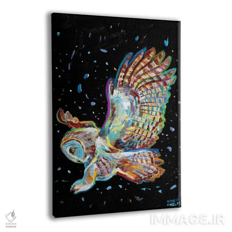 تابلو دکوراتیو جغد خاکستری اثر رابرت فلپس - نمای پرسپکتیو محصول