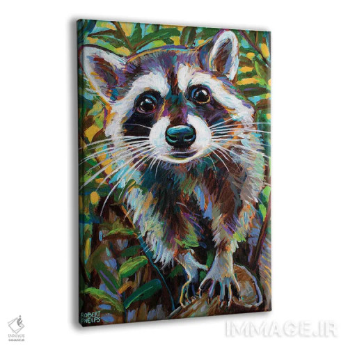 تابلو دکوراتیو راکون کنجکاو ۱ اثر رابرت فلپس - نمای پرسپکتیو محصول