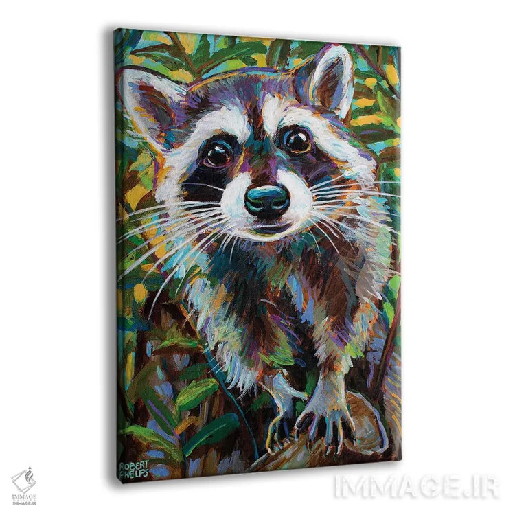 تابلو دکوراتیو راکون کنجکاو ۱ اثر رابرت فلپس - نمای پرسپکتیو محصول