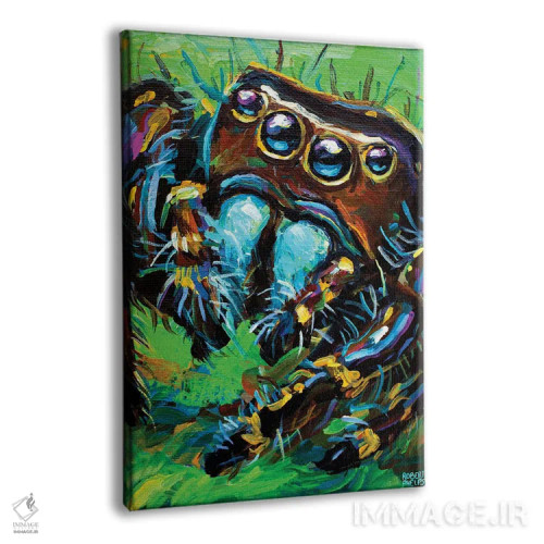 تابلو دکوراتیو عنکبوت جهنده ۱ اثر رابرت فلپس - نمای پرسپکتیو محصول