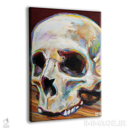 تابلو دکوراتیو جمجمه کلاسیک اثر رابرت فلپس - نمای پرسپکتیو محصول