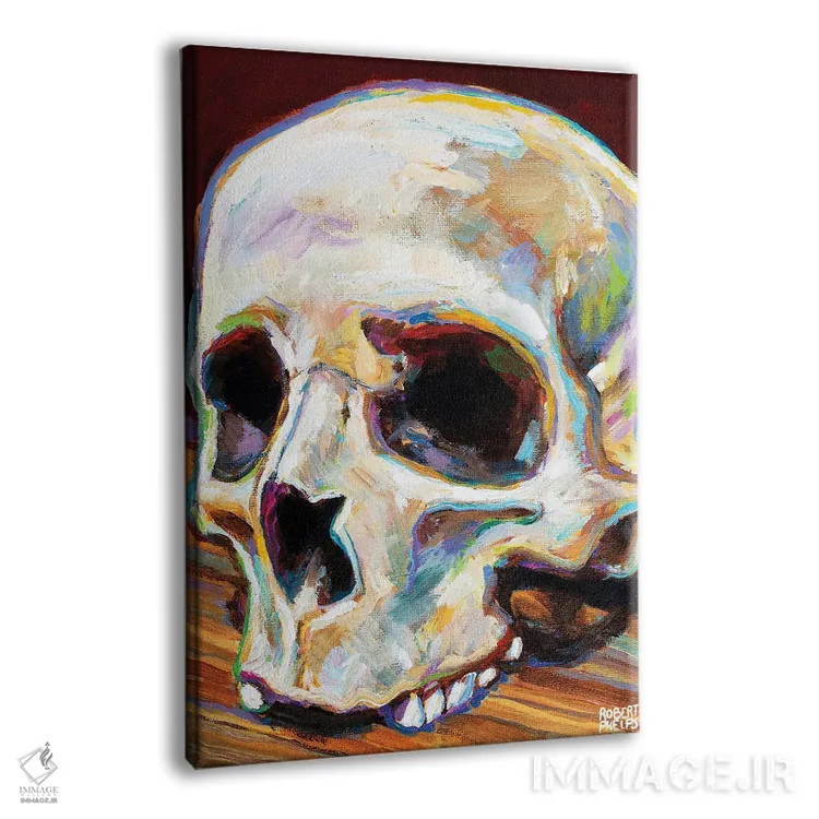 تابلو دکوراتیو جمجمه کلاسیک اثر رابرت فلپس - نمای پرسپکتیو محصول
