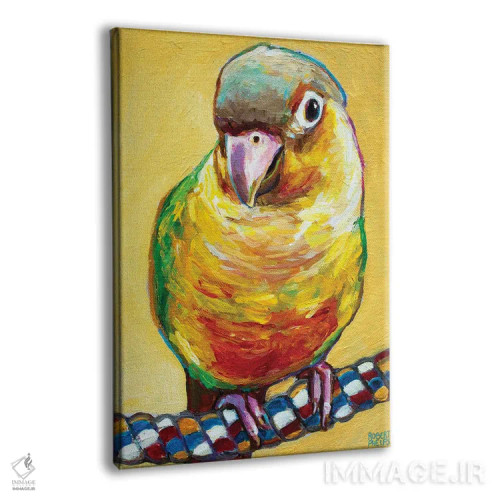 تابلو دکوراتیو کونور روی زرد اثر رابرت فلپس - نمای پرسپکتیو محصول