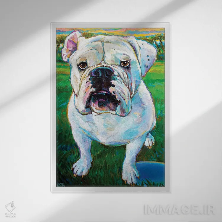 تابلو دکوراتیو بابا ۱ اثر رابرت فلپس - نمای قابدار سفید