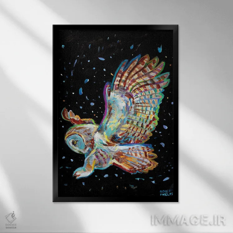 تابلو دکوراتیو جغد خاکستری اثر رابرت فلپس - نمای قابدار مشکی