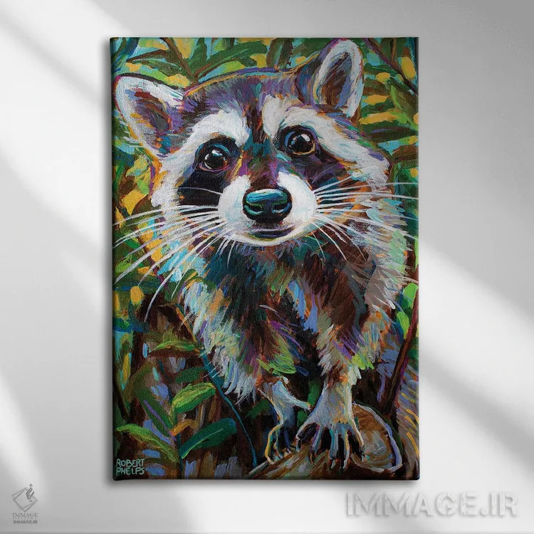 تابلو دکوراتیو راکون کنجکاو ۱ اثر رابرت فلپس - نمای روبهرو روی دیوار