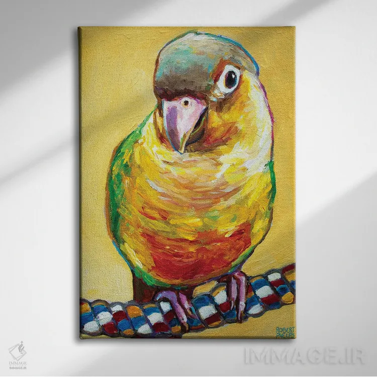 تابلو دکوراتیو کونور روی زرد اثر رابرت فلپس - نمای روبهرو روی دیوار