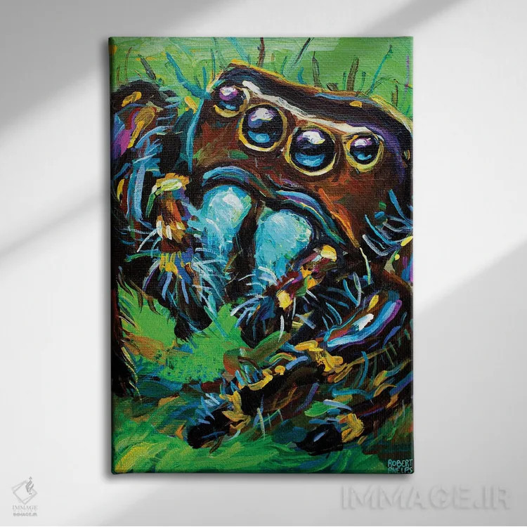 تابلو دکوراتیو عنکبوت جهنده ۱ اثر رابرت فلپس - نمای روبهرو روی دیوار