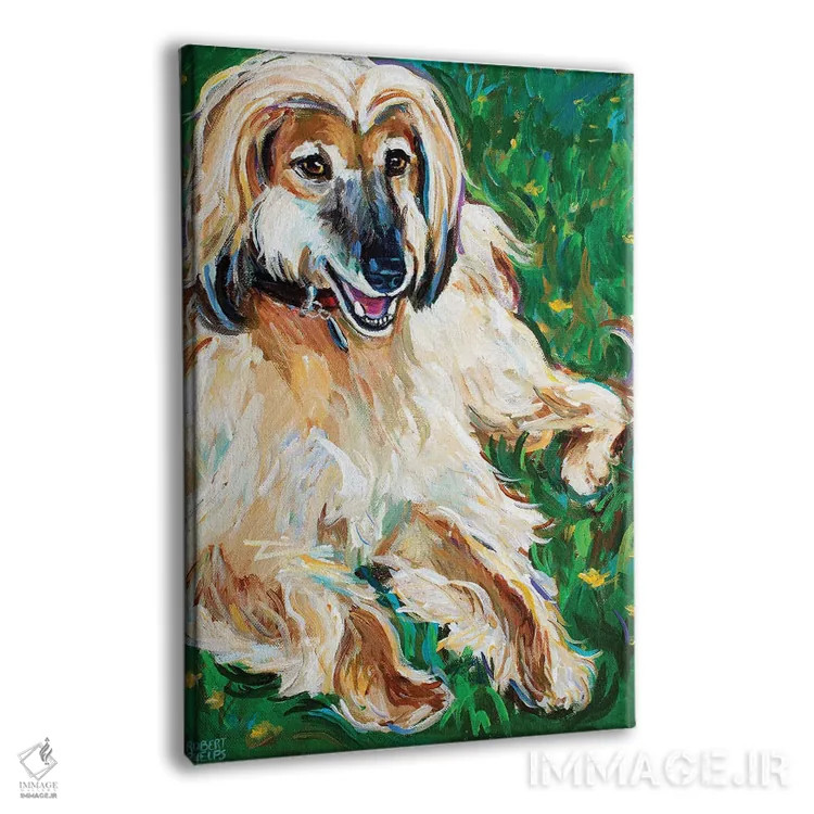 تابلو دکوراتیو سگ تازی افغان اثر رابرت فلپس - نمای پرسپکتیو محصول