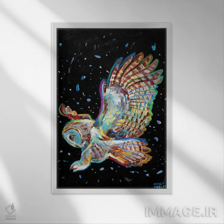 تابلو دکوراتیو جغد خاکستری اثر رابرت فلپس - نمای قابدار سفید