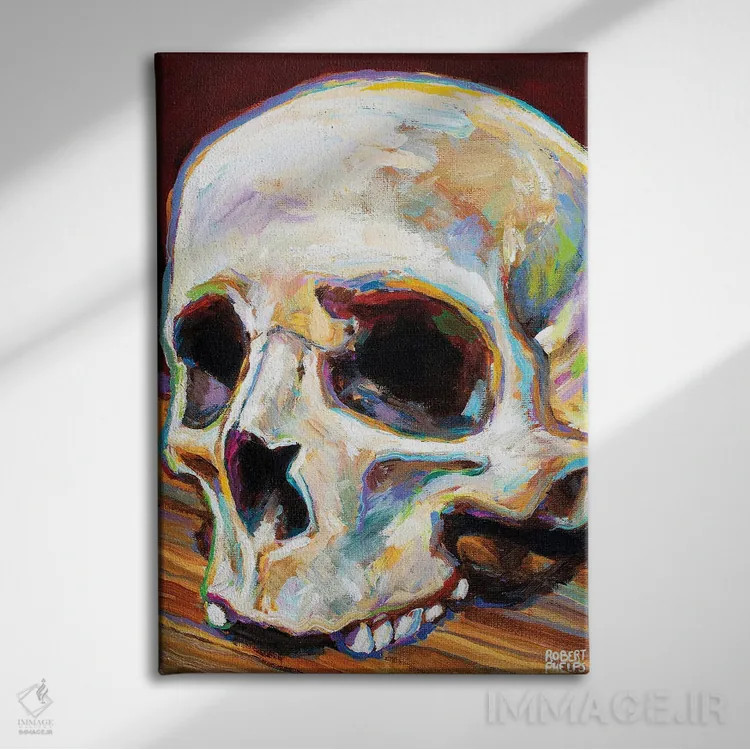 تابلو دکوراتیو جمجمه کلاسیک اثر رابرت فلپس - نمای روبهرو روی دیوار