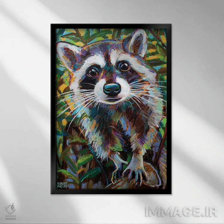 تابلو دکوراتیو راکون کنجکاو ۱ اثر رابرت فلپس - نمای قابدار مشکی