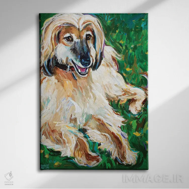 تابلو دکوراتیو سگ تازی افغان اثر رابرت فلپس - نمای روبهرو روی دیوار