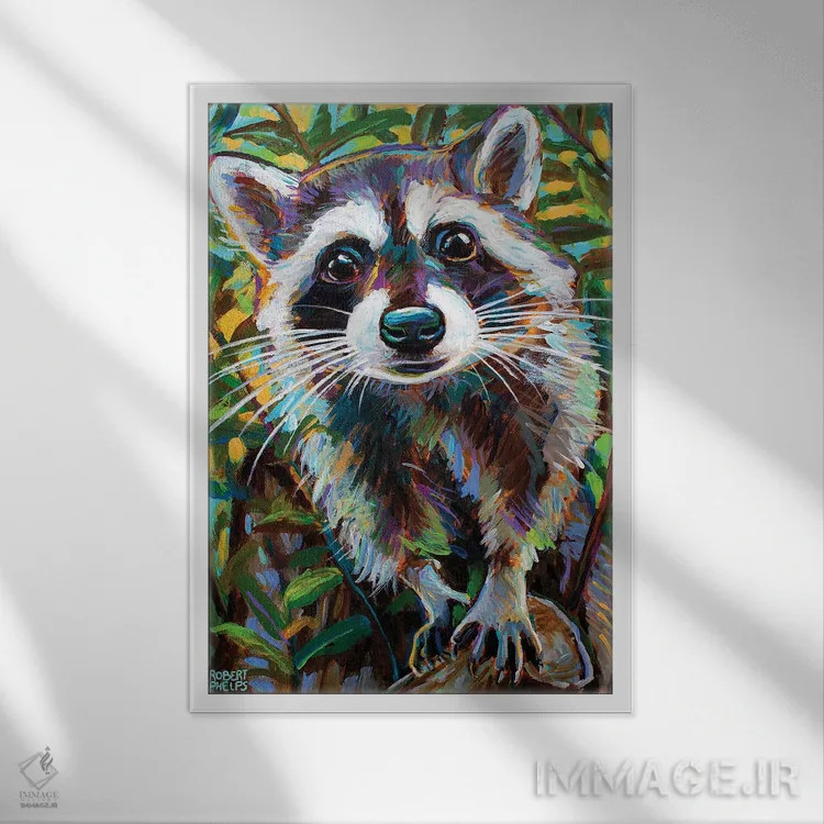 تابلو دکوراتیو راکون کنجکاو ۱ اثر رابرت فلپس - نمای قابدار سفید