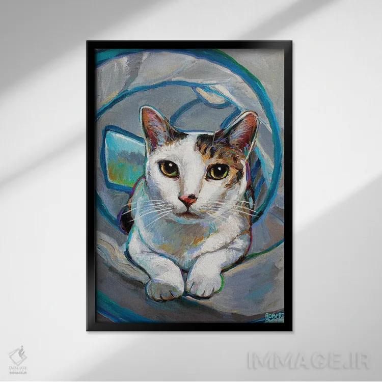 تابلو دکوراتیو بچه گربه تونلی ۱ اثر رابرت فلپس - نمای قابدار مشکی