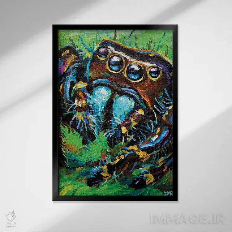 تابلو دکوراتیو عنکبوت جهنده ۱ اثر رابرت فلپس - نمای قابدار مشکی