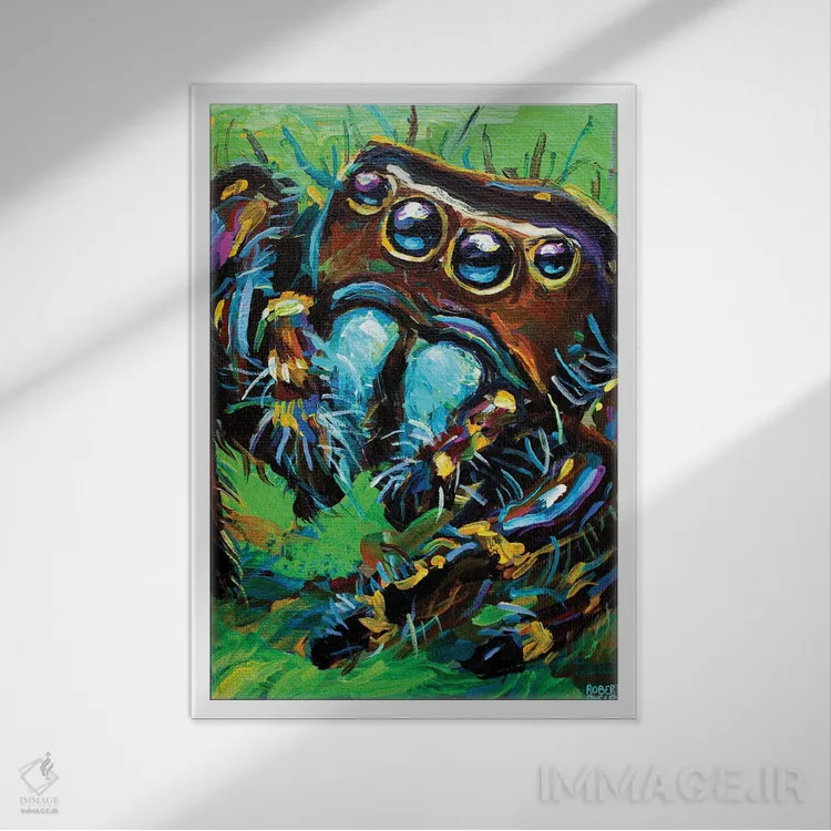 تابلو دکوراتیو عنکبوت جهنده ۱ اثر رابرت فلپس - نمای قابدار سفید