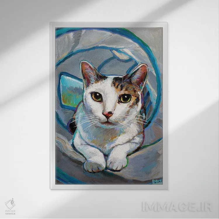تابلو دکوراتیو بچه گربه تونلی ۱ اثر رابرت فلپس - نمای قابدار سفید