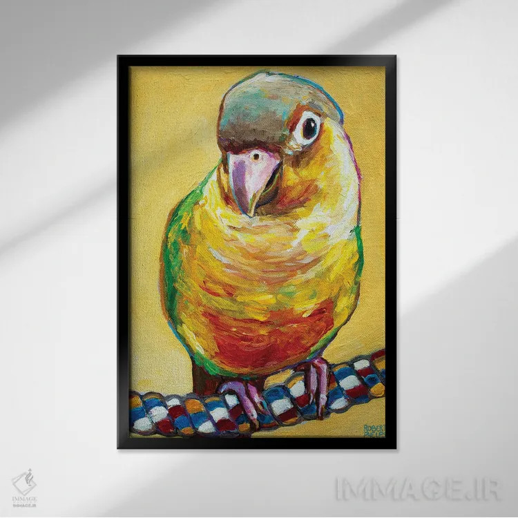 تابلو دکوراتیو کونور روی زرد اثر رابرت فلپس - نمای قابدار مشکی