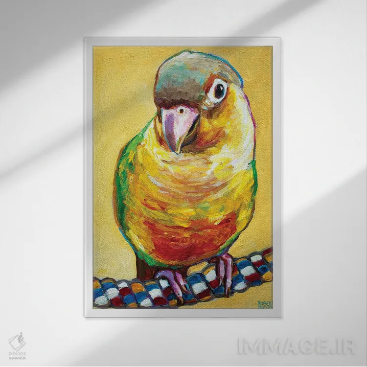 تابلو دکوراتیو کونور روی زرد اثر رابرت فلپس - نمای قابدار سفید