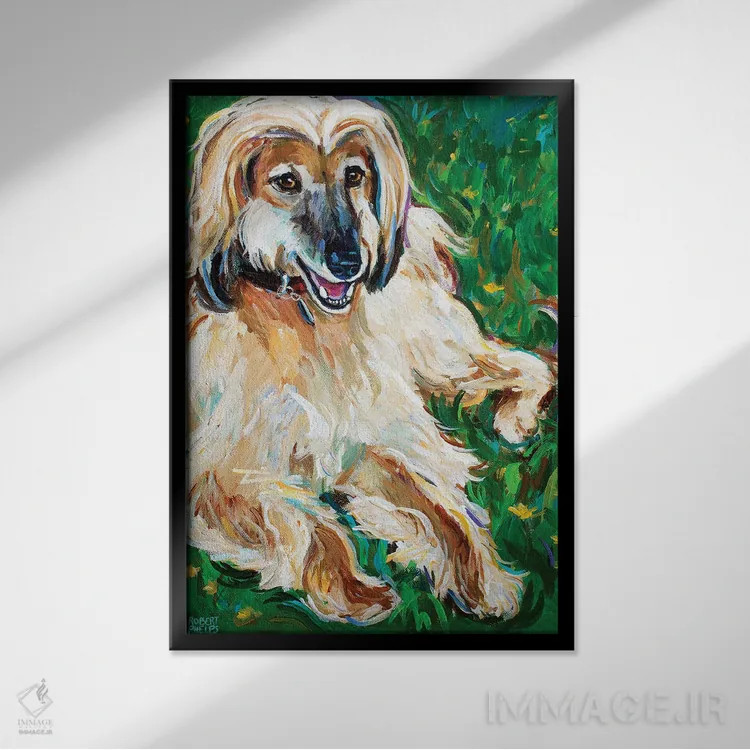 تابلو دکوراتیو سگ تازی افغان اثر رابرت فلپس - نمای قابدار مشکی
