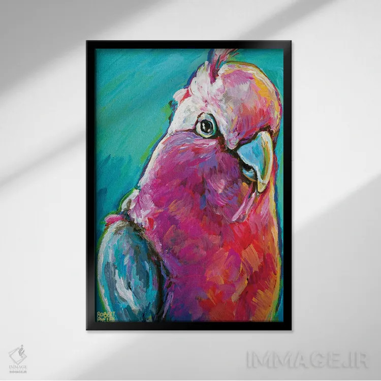 تابلو دکوراتیو گالا اثر رابرت فلپس - نمای قابدار مشکی